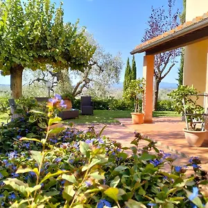 Affittacamere Acquaria-vinci, Vinci
